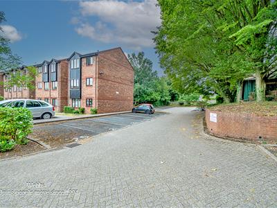 Picture 20